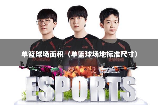 单篮球场面积（单篮球场地标准尺寸）