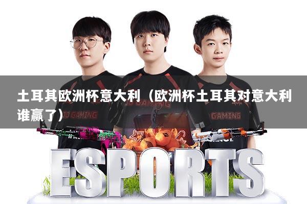土耳其欧洲杯意大利（欧洲杯土耳其对意大利谁赢了）
