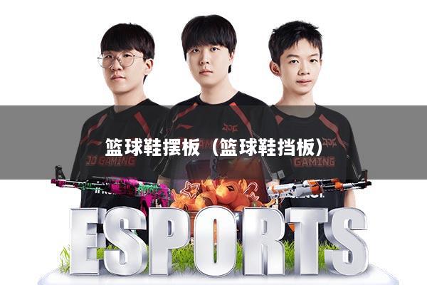 篮球鞋摆板（篮球鞋挡板）