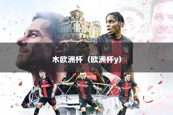 木欧洲杯（欧洲杯y）