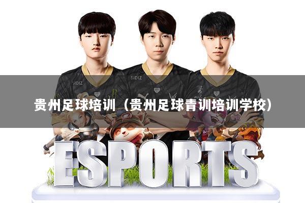 贵州足球培训（贵州足球青训培训学校）