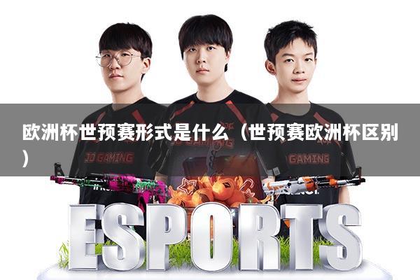 欧洲杯世预赛形式是什么（世预赛欧洲杯区别）
