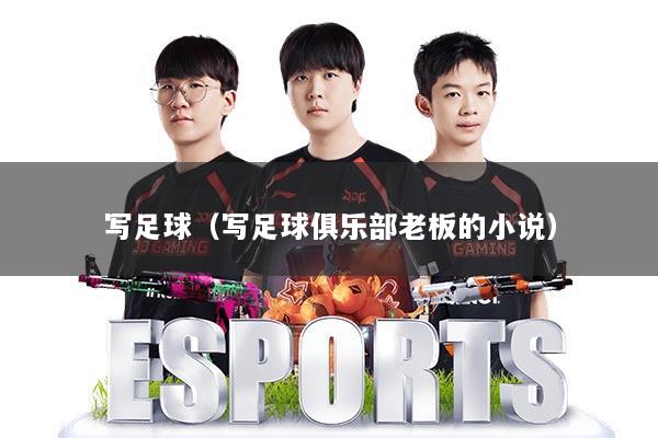 写足球（写足球俱乐部老板的小说）